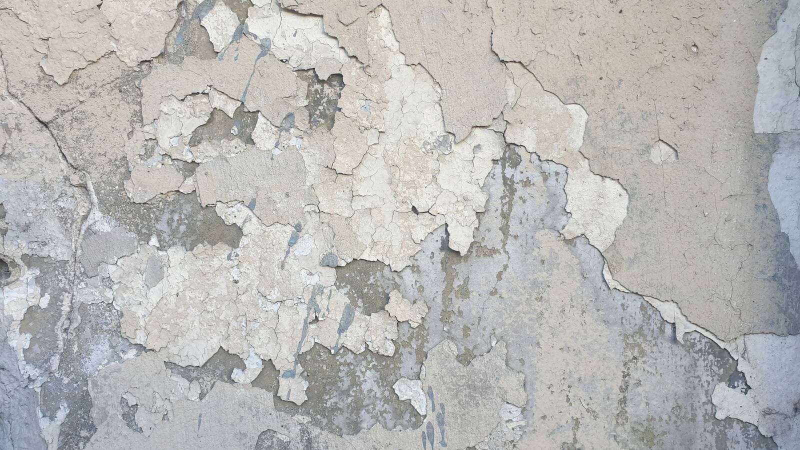 Lead paint inspection and testing services in Denver Colorado
