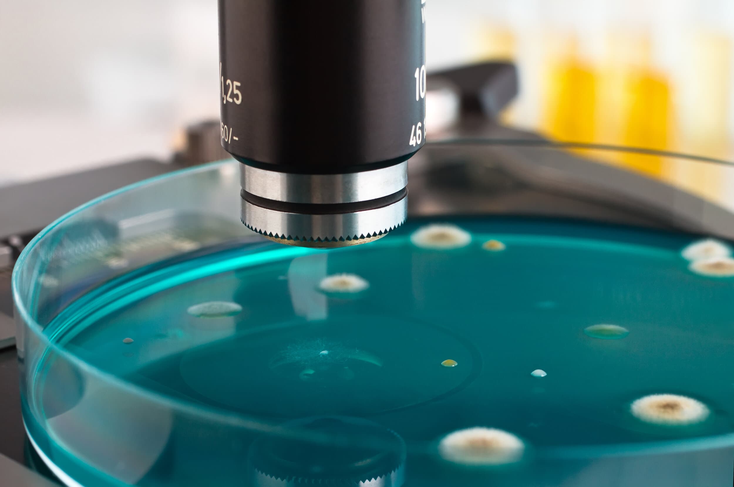Professional mold inspection and moisture assessment in Denver Colorado