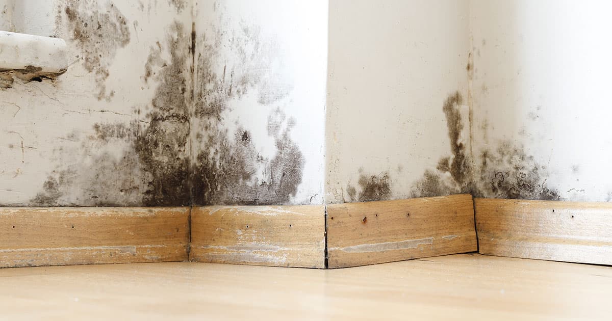 Water damage inspection and moisture mapping in Denver Colorado